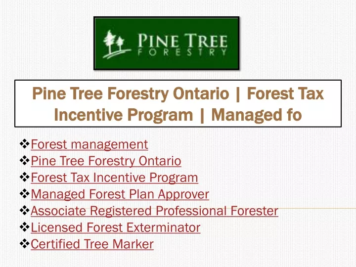 pine tree forestry ontario forest tax incentive