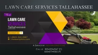 Lawn Care Services Tallahassee