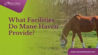 Best Facilities For Your Horse in Equestrian