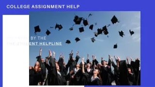 College Assignment Help