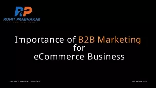 Why B2B Marketing Strategies are Important for Your eCommerce Business ?