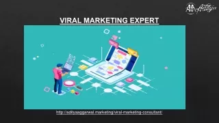 Find the best viral marketing expert