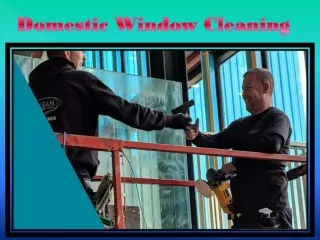 domestic window cleaning