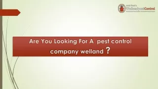 pest control company welland - wellandpestcontrol