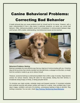 canine behavioral problems correcting bad behavior