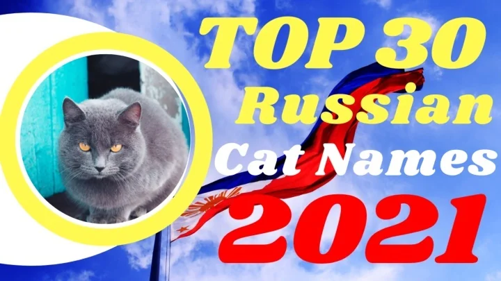 PPT - Top 30 Most Popular Male And Female Russian Cat Names With