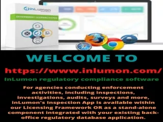 InLumon government licensing system