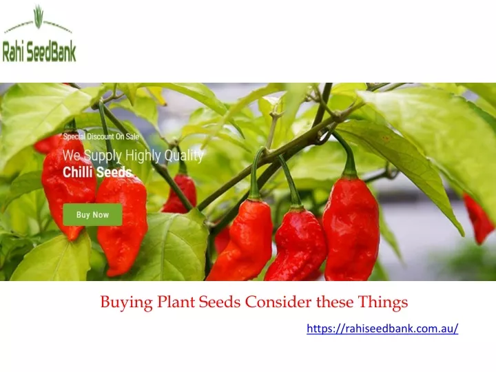 buying plant seeds consider these things