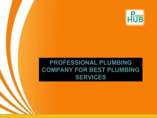 PROFESSIONAL PLUMBING COMPANY FOR BEST PLUMBING SERVICES