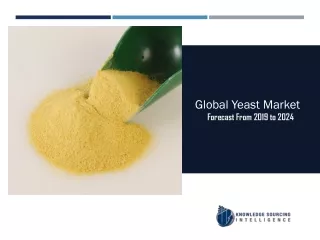 global yeast market forecast from 2019 to 2024