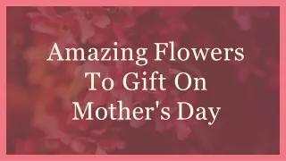 Amazing Flowers TO Gift On Mother's Day