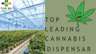 TOP LEADING CANNABIS DISPENSARY