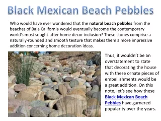 An Inclusive Guide to Understanding All Aspects of Black Mexican Pebbles