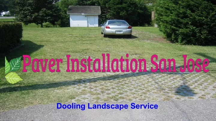 dooling landscape service