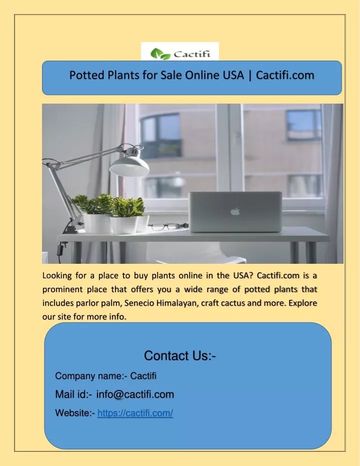 potted plants for sale online usa cactifi com