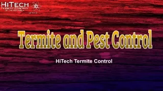 Termite Control Bay Area
