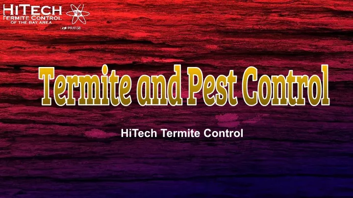hitech termite control