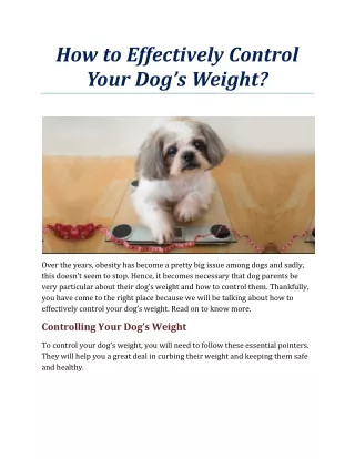how to effectively control your dog s weight