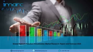 global network function virtualization market
