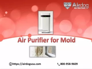 Make your indoor clean with the best Air purifier for mold : Airdog USA