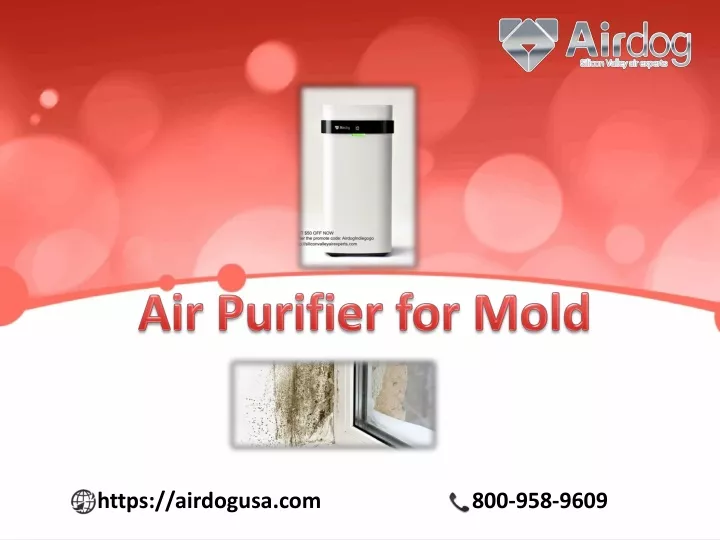 air purifier for mold