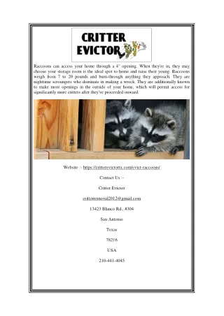 raccoons can access your home through a 4 opening