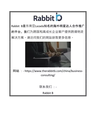 东南亚Lazada开店运营 | Therabbitb.com/china