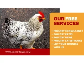 FREE POULTRY SERVICES IN INDIA | EGIYOK NEWS