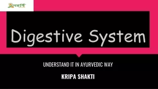 How To Improve Digestive System? - Kripa Shakti