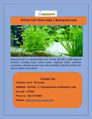 online fish store india bunnycart com