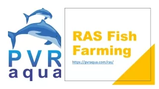 ras fish farming