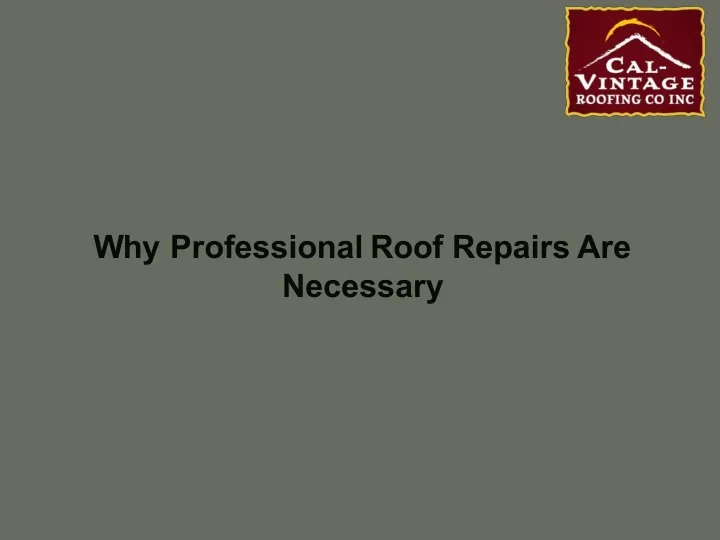 why professional roof repairs are necessary
