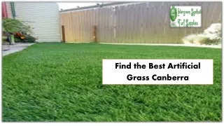 find the best artificial grass canberra