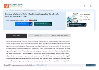 Cinematography Cameras Market Report Offers Intelligence And Forecast Till 2017-2025