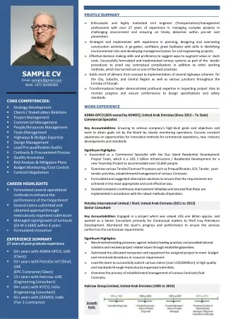 profile summary