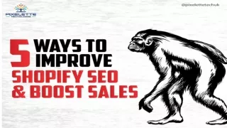 Grow your business with the best shopify SEO services