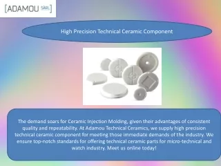 High Precision Technical Ceramic Component