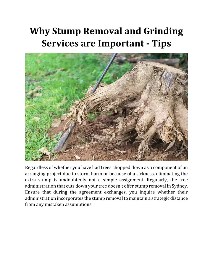 why stump removal and grinding services