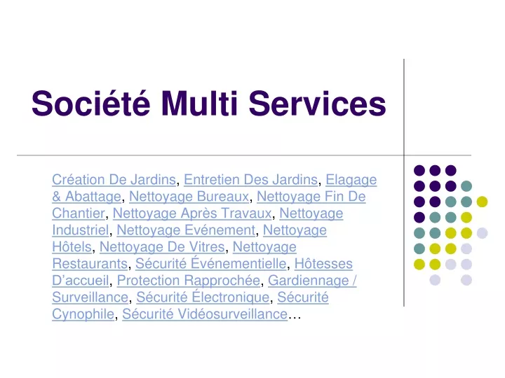 soci t multi services
