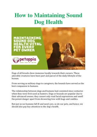 How to Maintaining Sound Dog Health