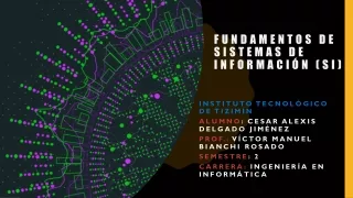fundamentos de sistemas de informaci n si