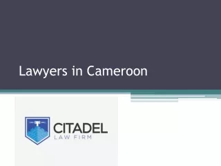 lawyers in cameroon