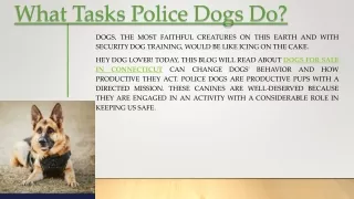 What Tasks Police Dogs Do | Black Rock Canines