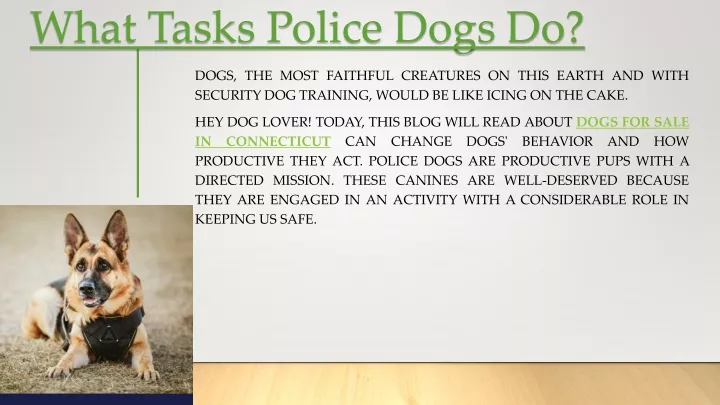 what tasks police dogs do