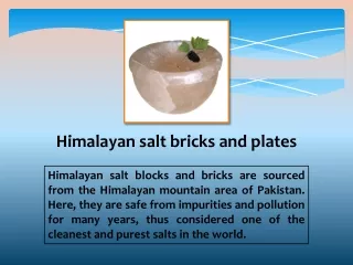 Shop Himalayan Salt Bricks and Plates