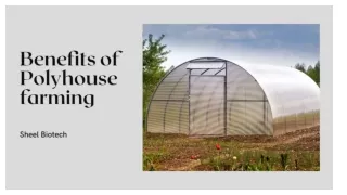 Benefits of polyhouse farming