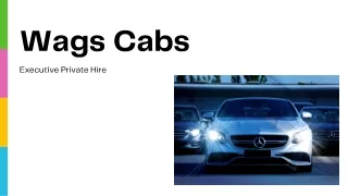 executive private hire wags cabs