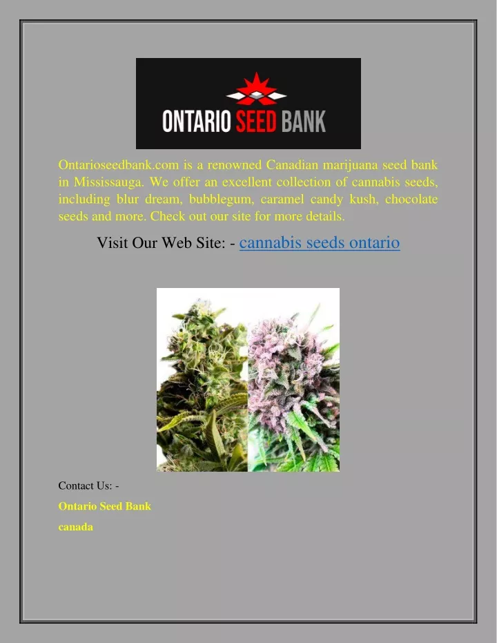 ontarioseedbank com is a renowned canadian