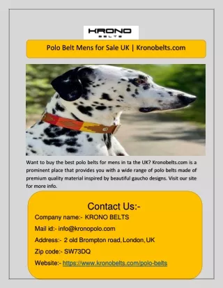 Polo Belt Mens for Sale UK | Kronobelts.com