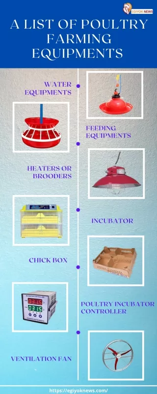 Types of Poultry Equipments | Egiyok News